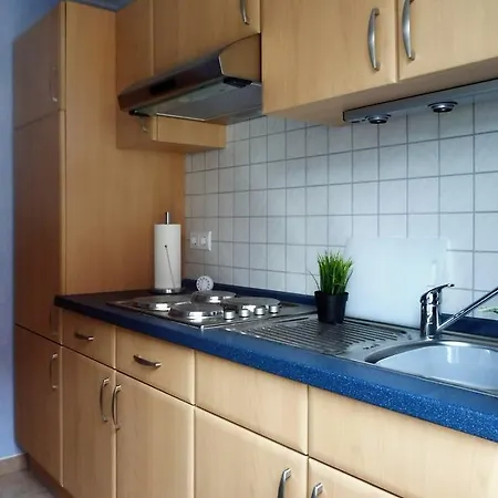 Haus Conny 公寓 比苏姆